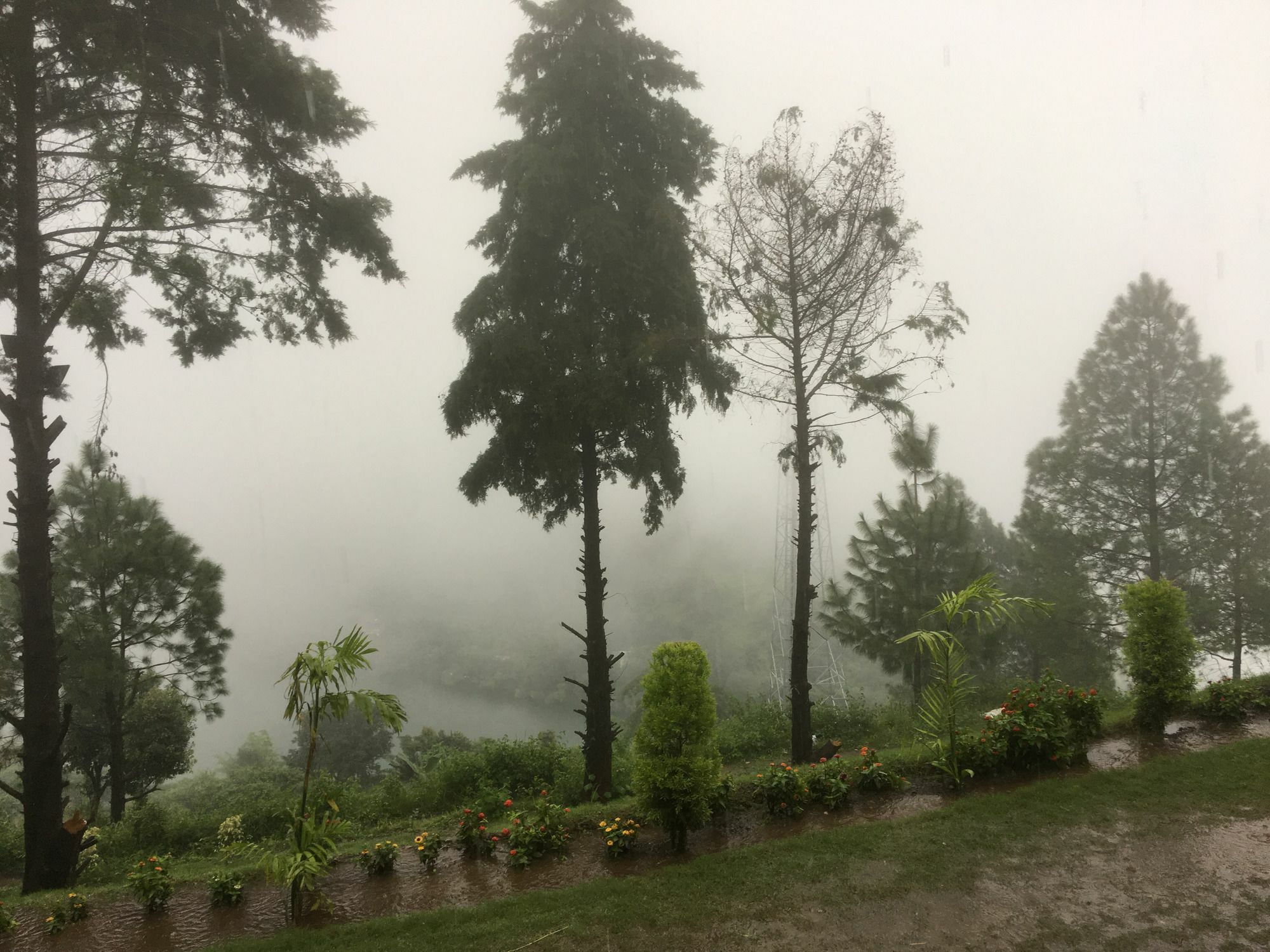 Nainital Adventure Park & Resort المظهر الخارجي الصورة